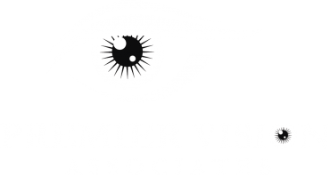 Premier Vision Associates